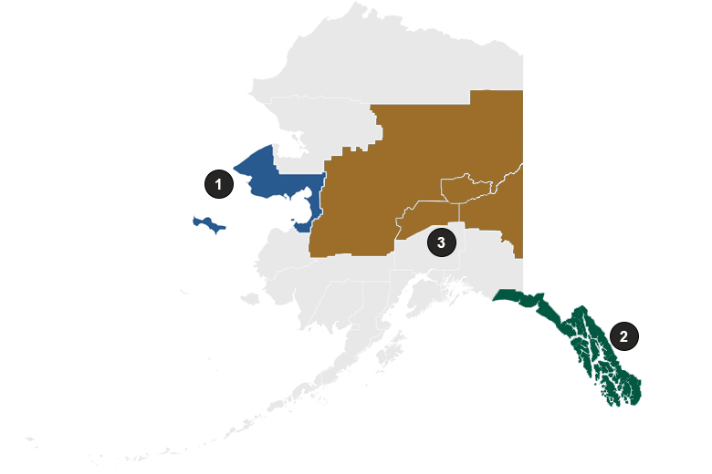 Community networks in Alaska