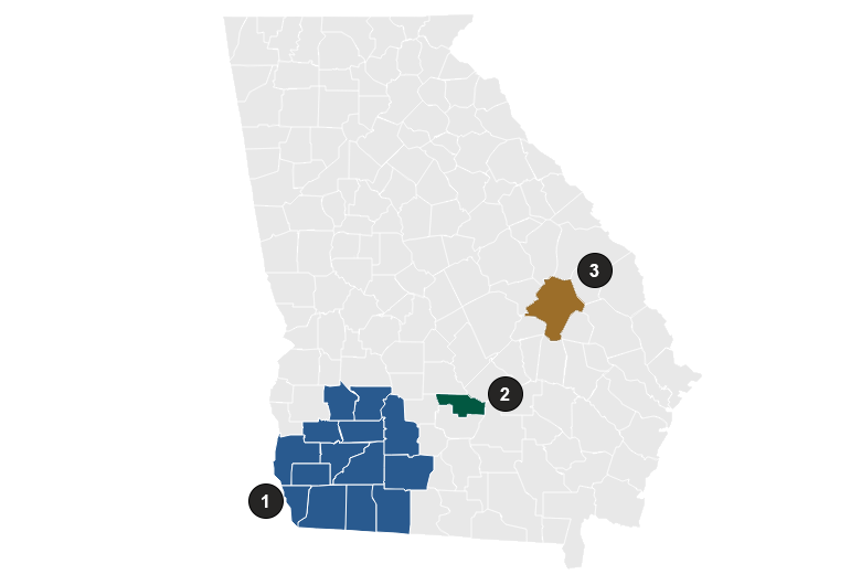 Community networks in Georgia