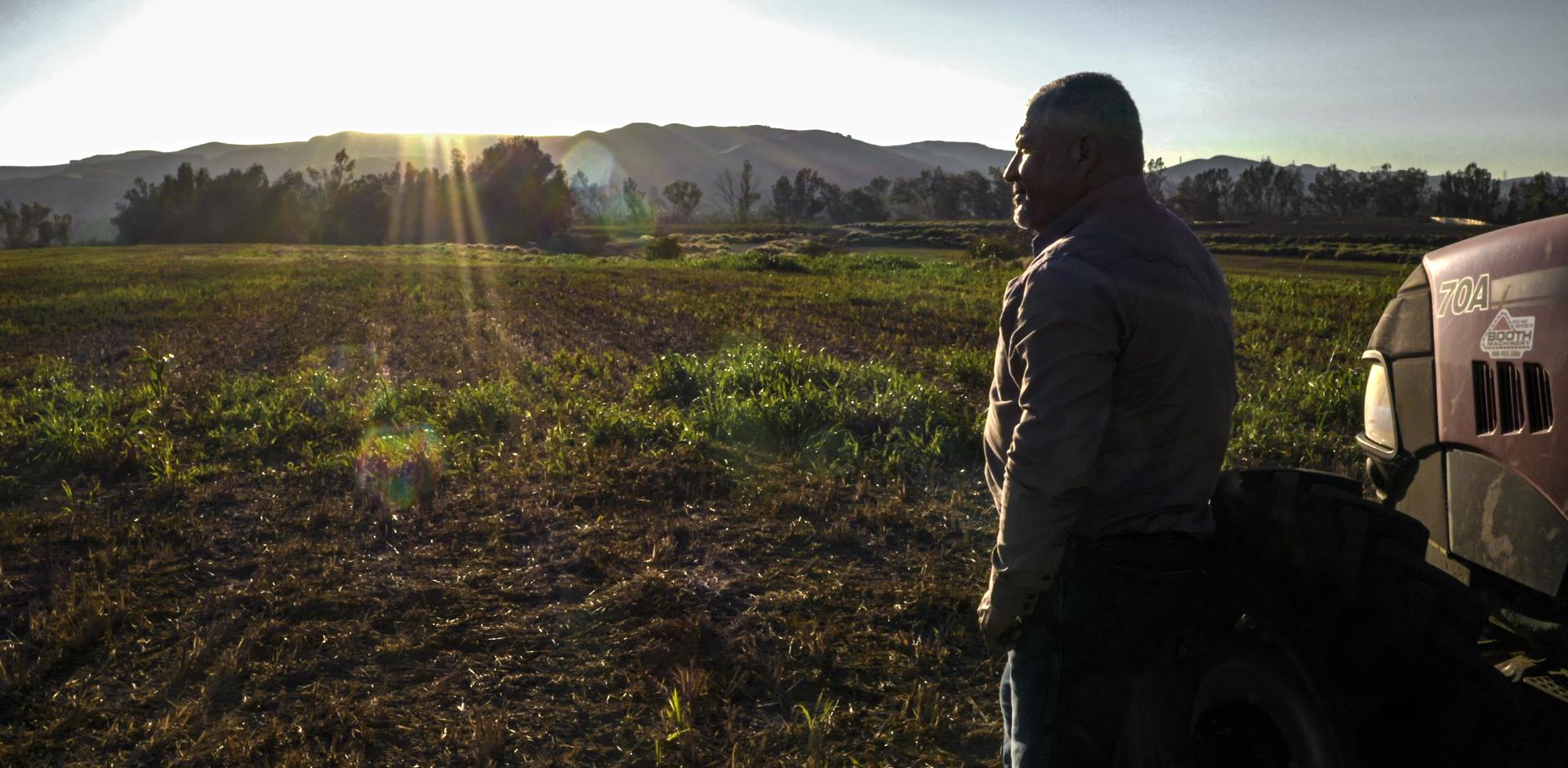 Rural community member viewing their farm 