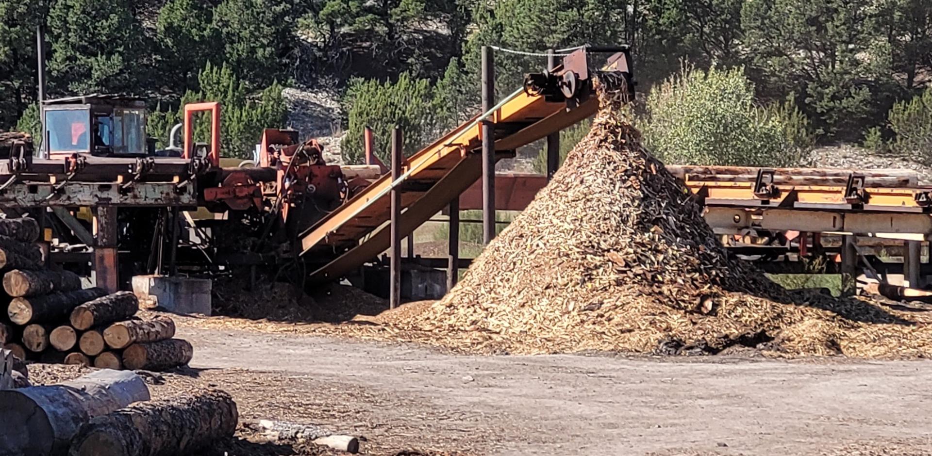 Timber Removal