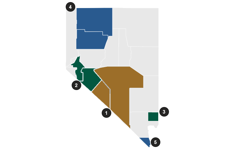 Community networks in Nevada